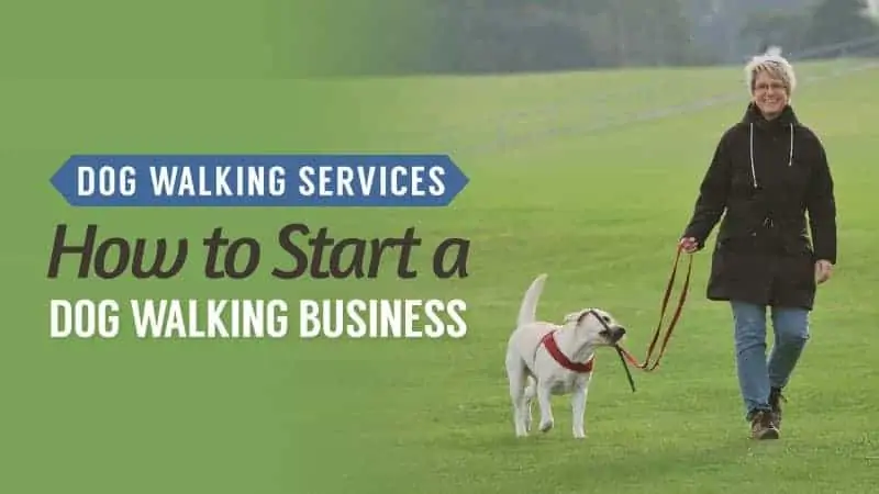 Dog Walking Services: How to Start a Dog Walking Business
