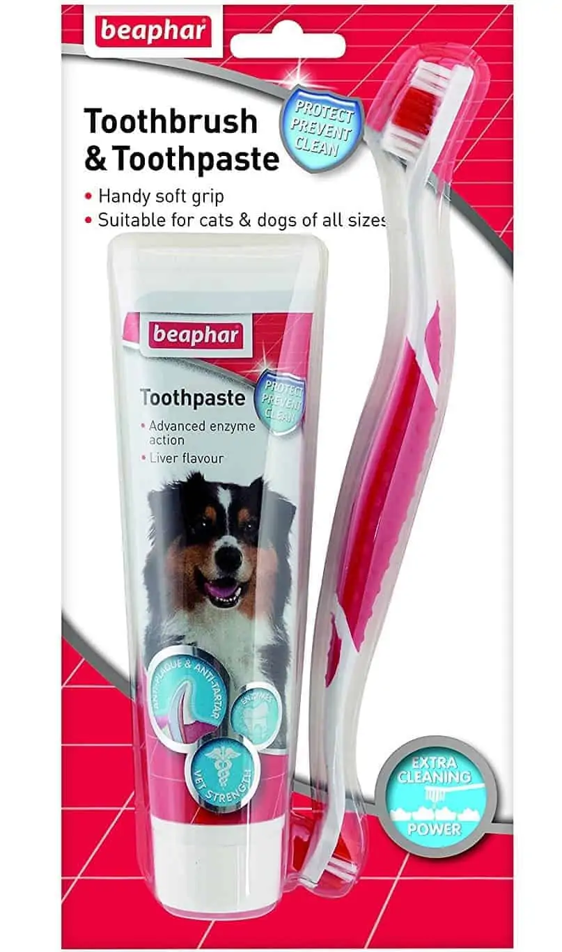 Beaphar Toothbrush and Toothpaste Kit