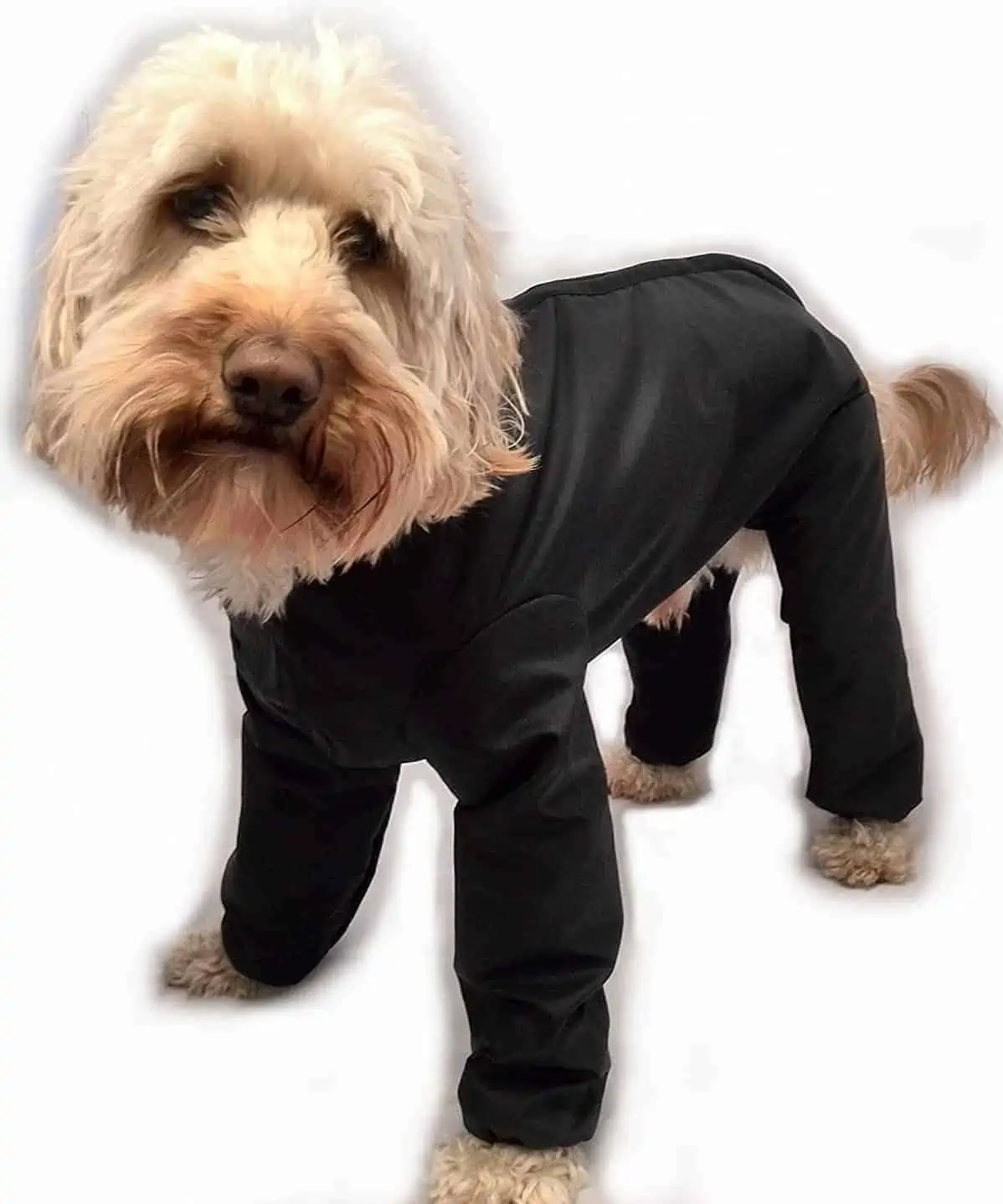 Best Dog Coats with Legs - Trouser Suit Waterproof Dog Rain Coat Onesie