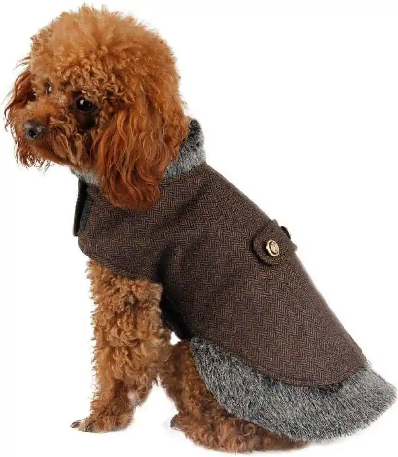 Best Winter Dog Coats - Pawz Road 