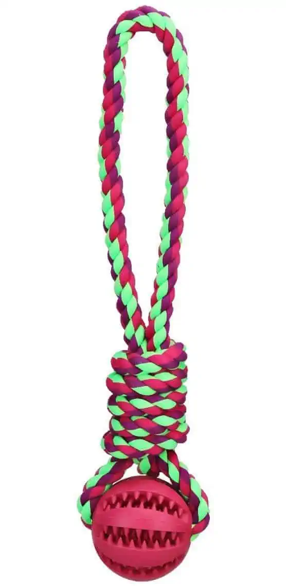 Most Indestructible Dog Toys – Tailmate 