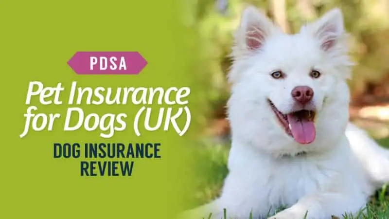 PDSA-Pet-Insurance-for-Dogs-UK-2017-Dog-Insurance-Review