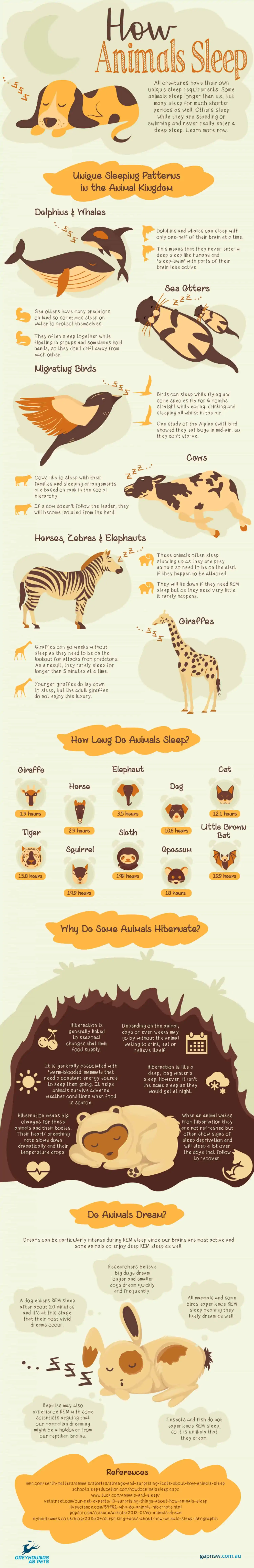 how animals sleep